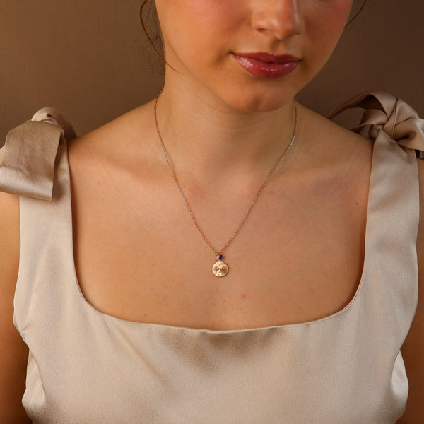 Zodiac Constellation Necklace - Rainbow Rocks Jewellery